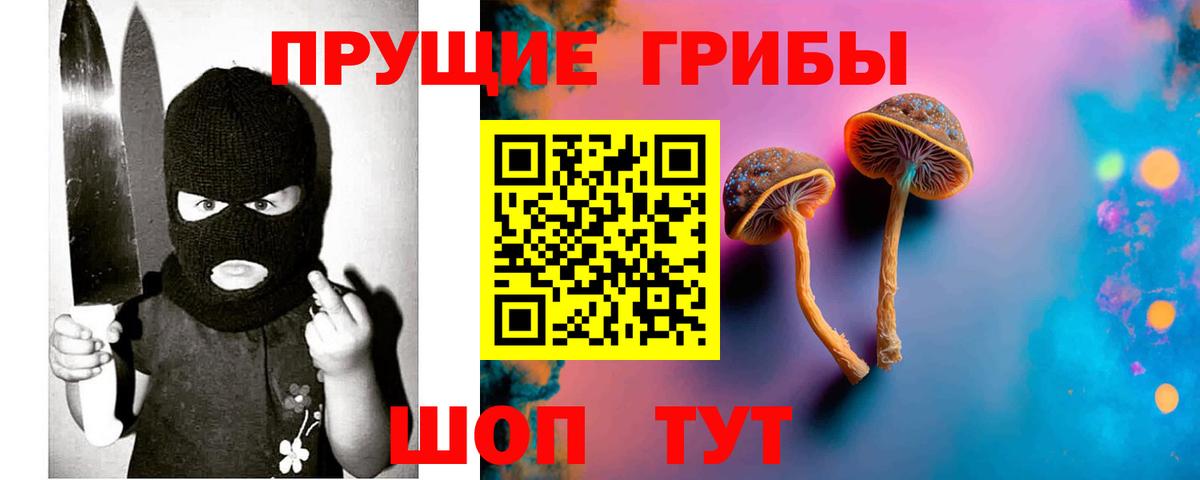 Галлюциногенные грибы Psilocybine cubensis  Галлюциногенные грибы мицелий  Ефремов  Вход с VPN 